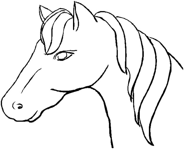 Coloriage 93 Chevaux