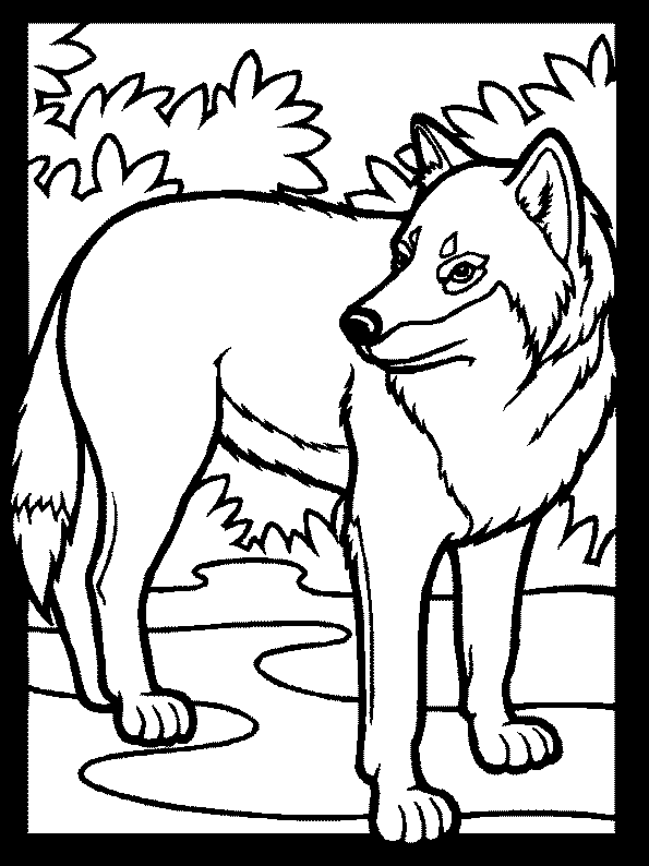 Coloriage 17 Les loups