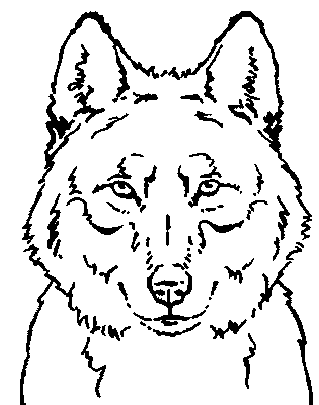 Coloriage 7 Les loups