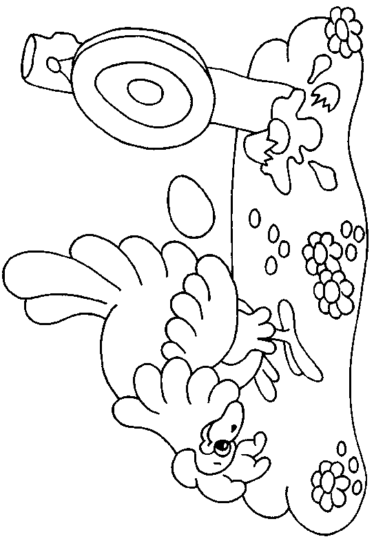 Coloriage 19 Poulets