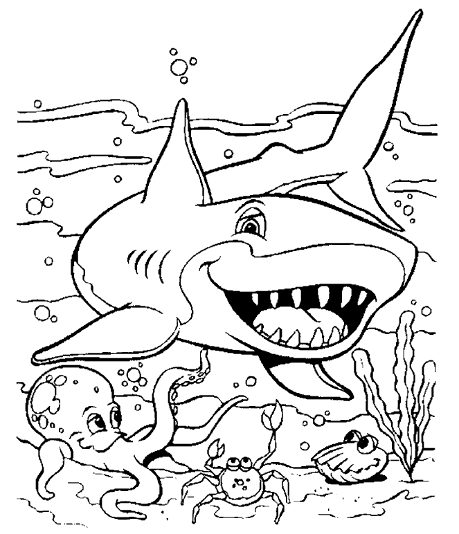 Coloriage 13 Requins