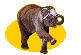 elephants 36